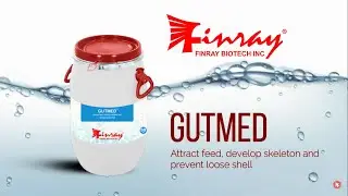 GUTMED&reg;: Attract feed, develop skeleton and prevent loose shell | Finray Biotech Inc