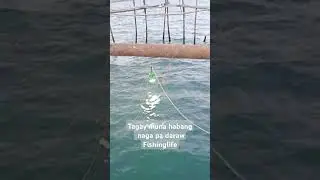 chill while fishing #catchingfish #fishingtechniques #fishingtips #fishing #fishinglife