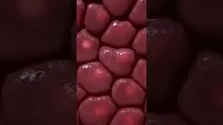 &laquo;The liver is literally a biochemical laboratory inside our body.