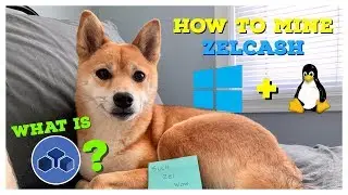 What is ZelCash? || How To Mine ZelCash on Windows + Linux (smOS)