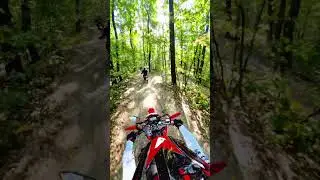#bikelife #dirtbikeriding #motorcycle #forest #music #crf300l #motovlog #enduro #explore #honda #crf