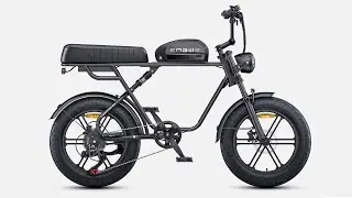 ENGWE M1 Electric Bike 250W Motor 48V 28.6AH Dual Battery 20*4.0 Inch Fat Tire Snow Electric Bike