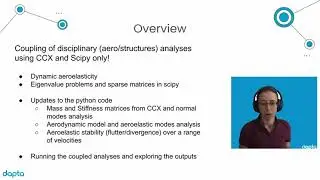 Part 6: Dynamic aeroelastic flutter and divergence analysis with Python and Calculix Crunchix