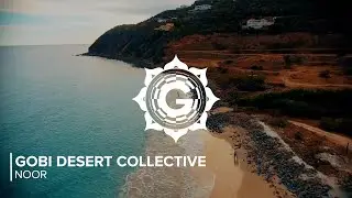 Gobi Desert Collective &bull; Noor (Folktronica/Organic House/Ethnotronic) 💮