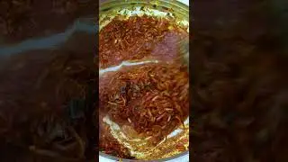 Yummy Stingray Fish Gravy In Village Cooks
