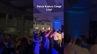 Fun conga line to &ldquo;Danza Kuduro&rdquo; at a San Diego wedding!