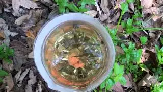Survival Hack: How to catch fish with trash