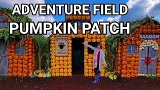 Laity Pumpkin Patch Best Pumpkin Adventure Field in Maple Ridge BC Canada 🇨🇦