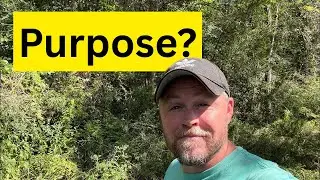 How To Find Your Calling