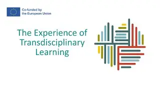 The Experience of Transdisciplinary Learning: What to Expect
