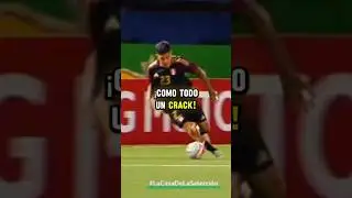 Joao Grimaldo sorprende a todos en pleno partido de Per&uacute; con Chile
