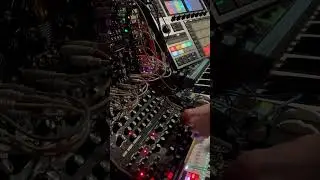 Jam Maschineplus subharmoniffamfusion #moog #electronicmusic #modularsynth #acidmusic #maschineplus