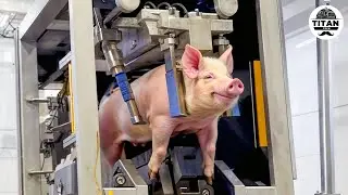 Mind-blowing Machines Operating At An Insane Level | The Most Satisfying Factory Tech! #15