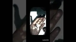 rare stone
