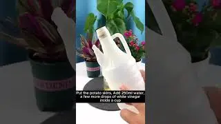 unique tips for taking care of plants #plantcare101- #plantcarehacks- #plantcaresecrets #gardening