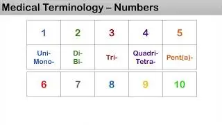 Medical Terminology - The Basics, Lesson 1.2 - Numbers