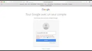 1  Google Partner 1