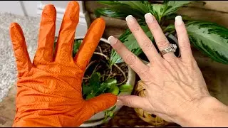 Best Heavy Duty Nitrile Gloves? LANON 8mil Disposable Gloves Mechanic Heavy Duty Food Latex Free