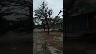 Хайнань город Санья во время коронавируса в январе и феврале 2020года