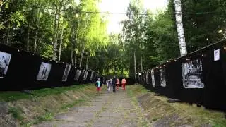 Vervenfestivalen 2014