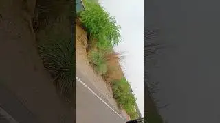 Delhi to charki dadri supar fast roadwaj #haryana sakthi #shortclips #hr19 #shortvideos #vlogvideo