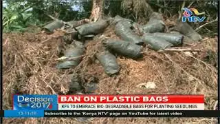 KFS to embrace biodegradable bags for planting seedlings