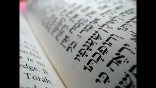 Becoming Intimate with the Siddur 11/2/21