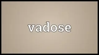 Vadose Meaning