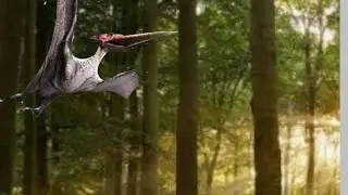 Probando el pterodáctilo de Jurásic Clash 