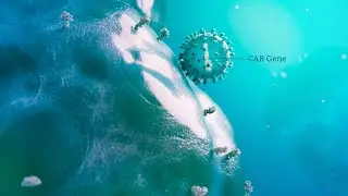 Advanced Cancer Treatments: CAR-T, Gene Therapy & Transplant Therapy - LLUH / Cortical Studios