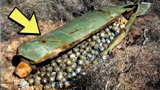 Farmer Finds Military Equipment On Land, General Says,  No One Is Supposed To See This