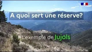 A quoi sert une réserve? L'exemple de Jujols