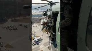 Military Dog Saves Officer From Helicopter Explosion! #rescue #animals #pets