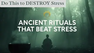 Ancient Rituals for Stress Relief | Tea Ceremony, Breathwork, Meditation & Forest Walks