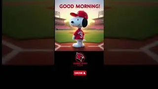st. Louis Cardinals fans to check in good morning ❤️ #cardinals #cardinalsnation