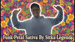 Обзор медицинских цветов Sitka Legends Funk Petal Sativa UK
