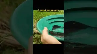 My Secret Gold Panning Spot in Colorado part 2 #shorts