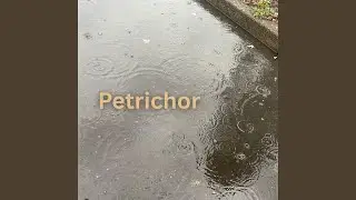 Petrichor