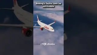 'No plane can survive a mcas failure #boeing737 #aviation #mcas  #airplane
