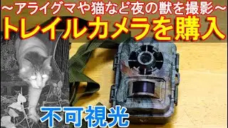 トレイルカメラを購入～不可視光タイプでアライグマや猫など夜の獣を撮影する～