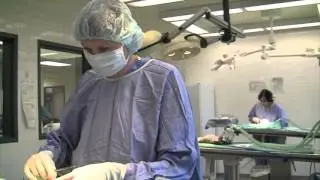 Humane Society of Utah Clinic
