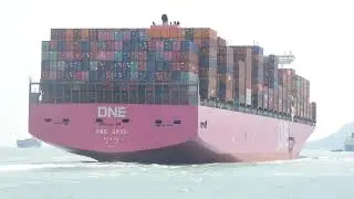 M/V ONE GRUS (Kure Shipyard of Japan Marine United Corporation 14,000 TEU magenta container ship)