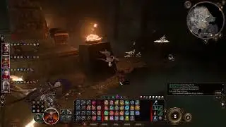 Funny bug