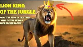 Why the Lion is the True King of the Jungle &ndash; Incredible Facts!