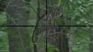 Sniper Scope Camera KJW M700P 2