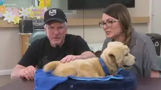 Robotic cats and dogs help dementia patients live their best lives | Your Best Life