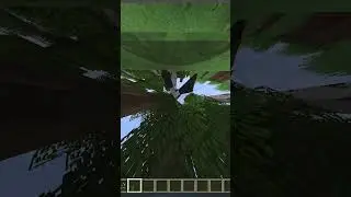 10000 FOV in minecraft!