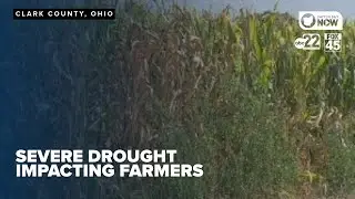 Severe drought strikes Greene and Clark counties, impacting local farmers