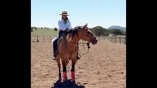 Pendleton pick up & carry, gate, mount,  dismount