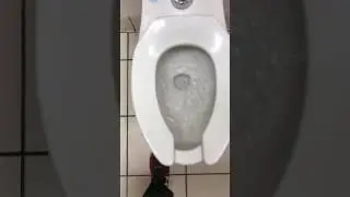 Loud Crane Plumbing Toilet Flushing